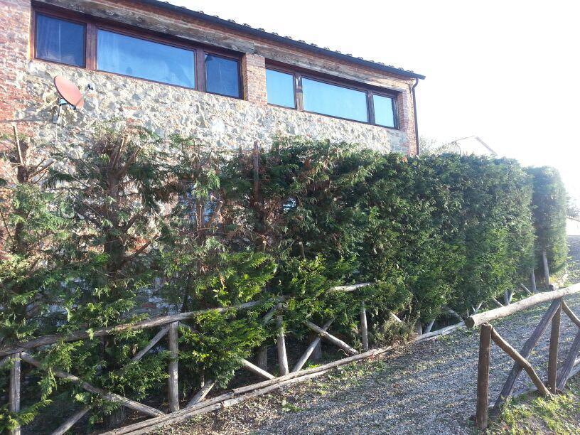 Residenza Il Platano Fortilizio Di Campiglia Rapolano Terme Εξωτερικό φωτογραφία